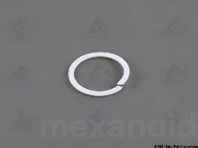 6-4300090206 Опорное кольцо